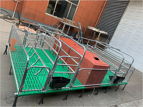  南京双体母猪产床